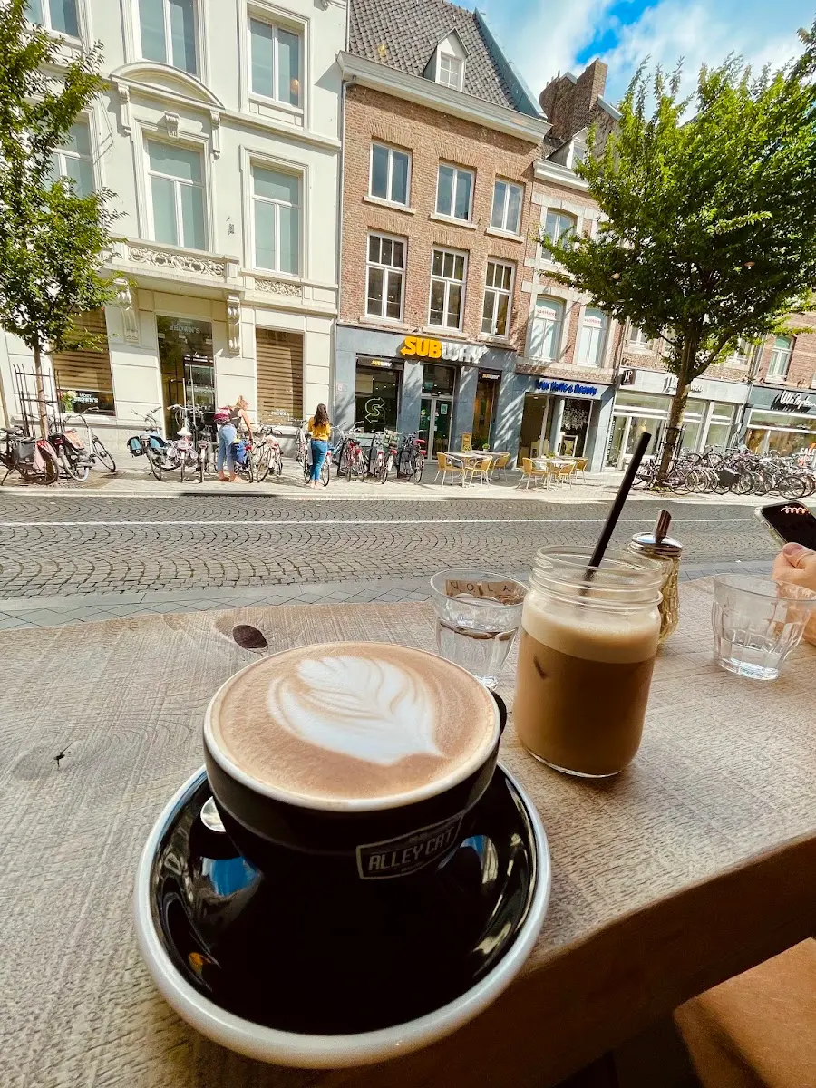 Alley Cat Bikes & Coffee interior