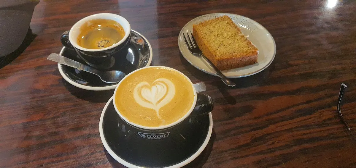 Alley Cat Bikes & Coffee photo 4