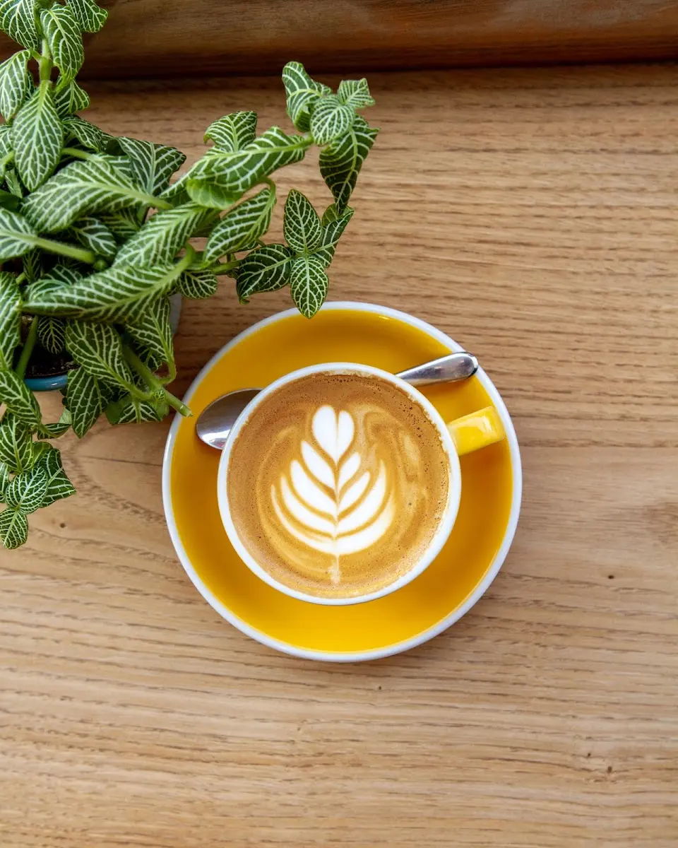 Bean + Brew interior