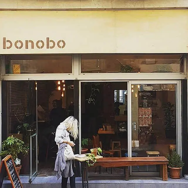 Bonobo