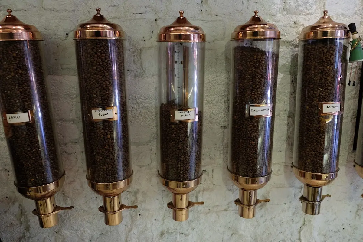 Coffee Sapiens photo 3