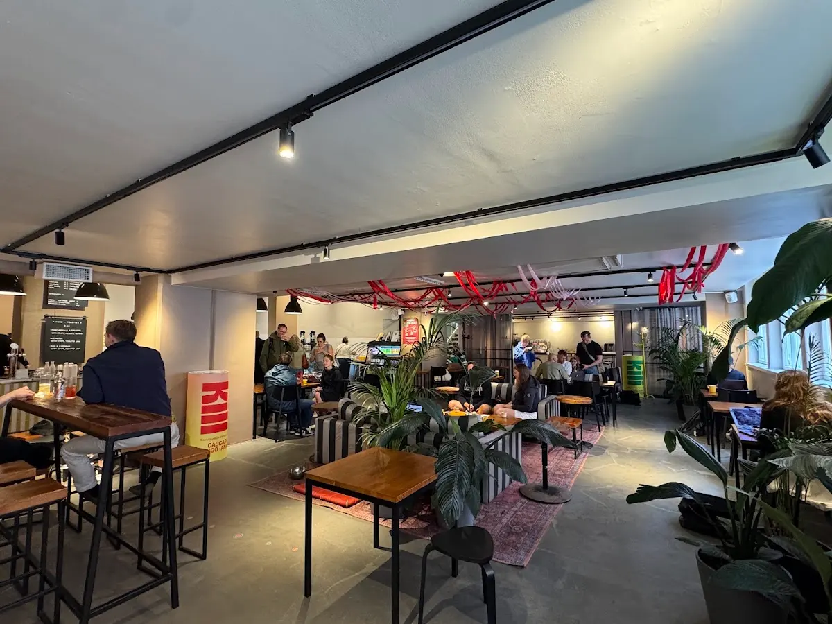Kaffa Roastery photo 4