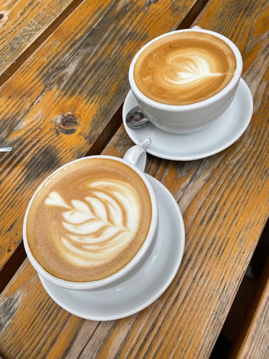Kaffeesaurus photo 4
