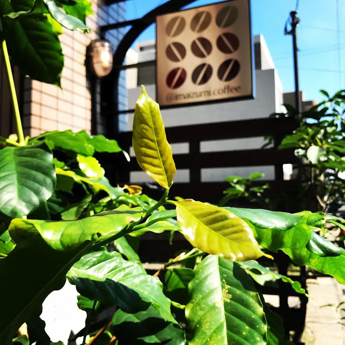 今和泉珈琲焙煎 photo 10