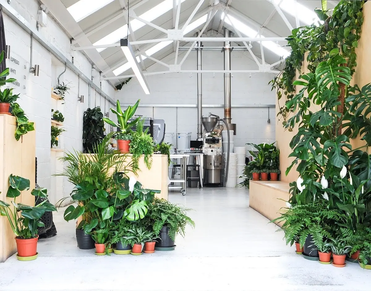 New Ground Coffee interior