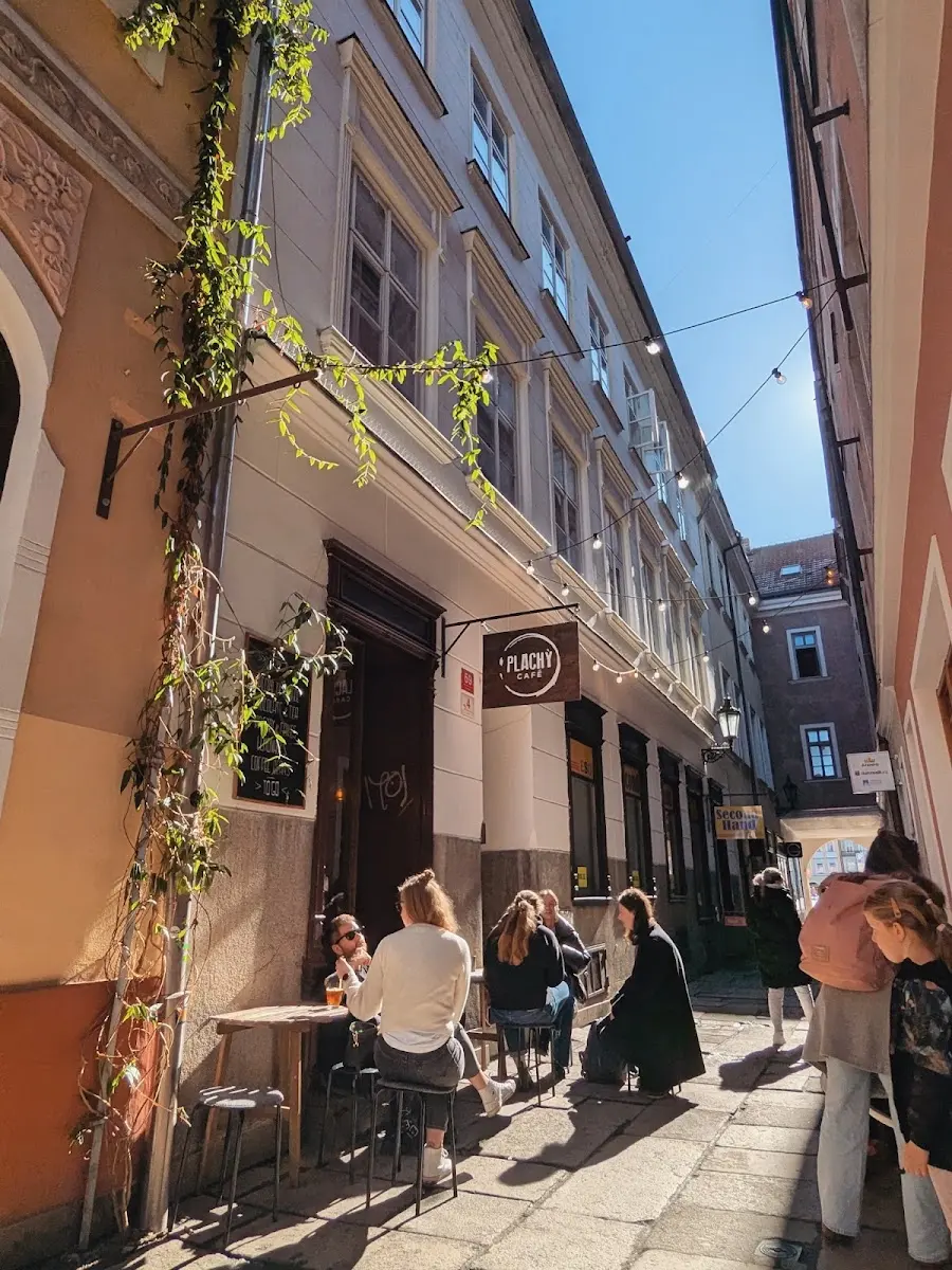 Plachý Café photo 4
