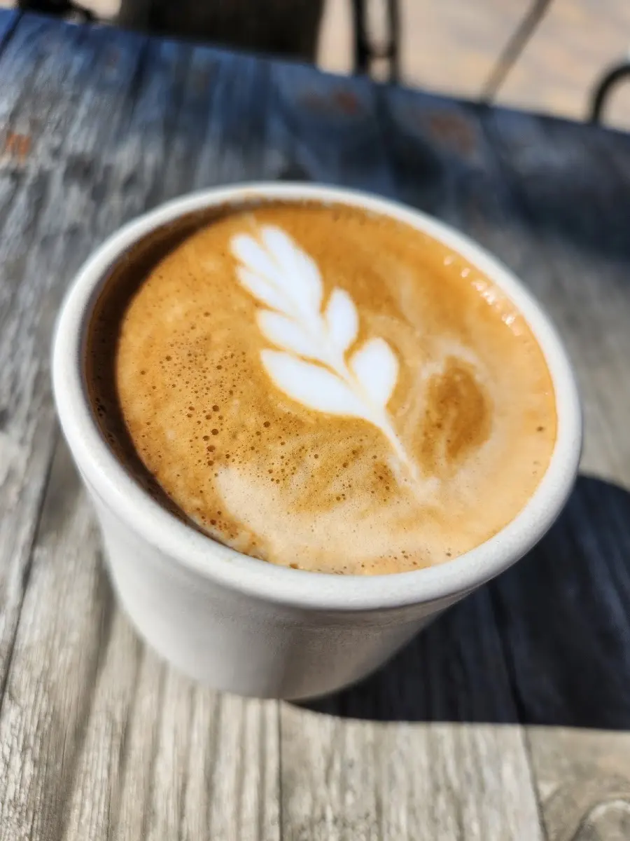 Todos Santos Specialty Coffee photo 4