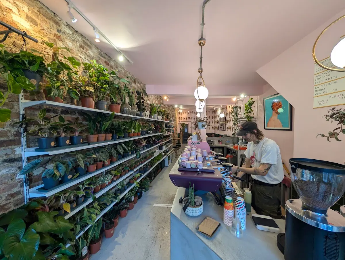Urban Botanica photo 4
