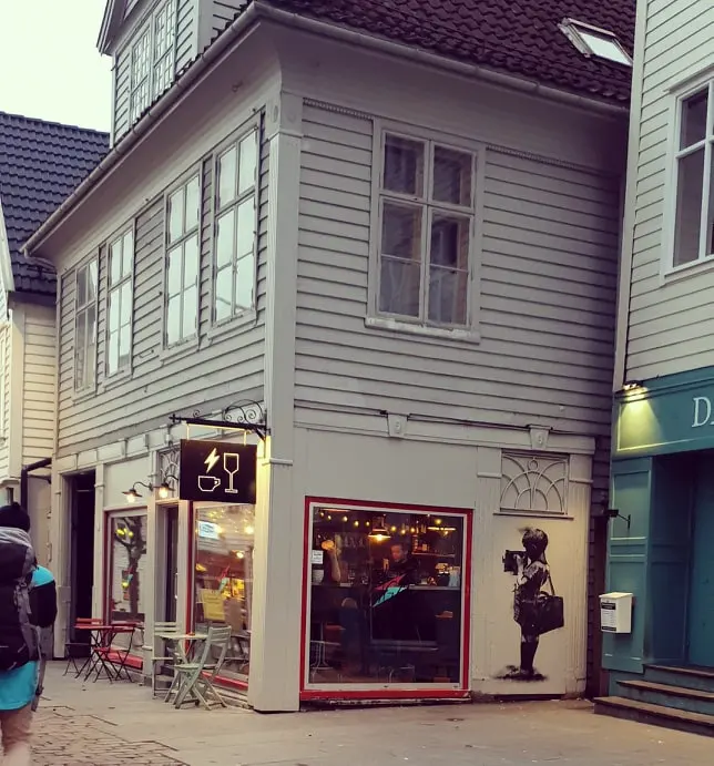 Vågal photo 3