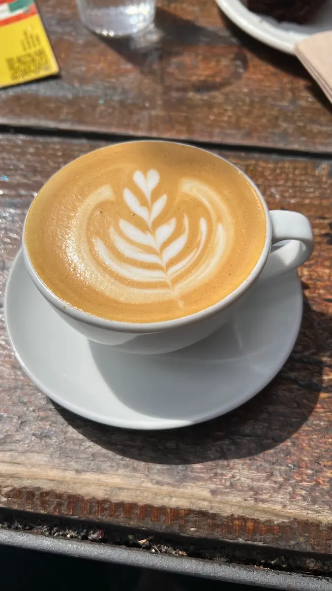 Vice Coffee Inc. photo 4