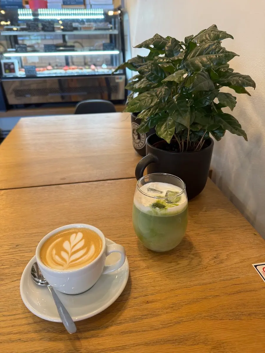 Waycup photo 4