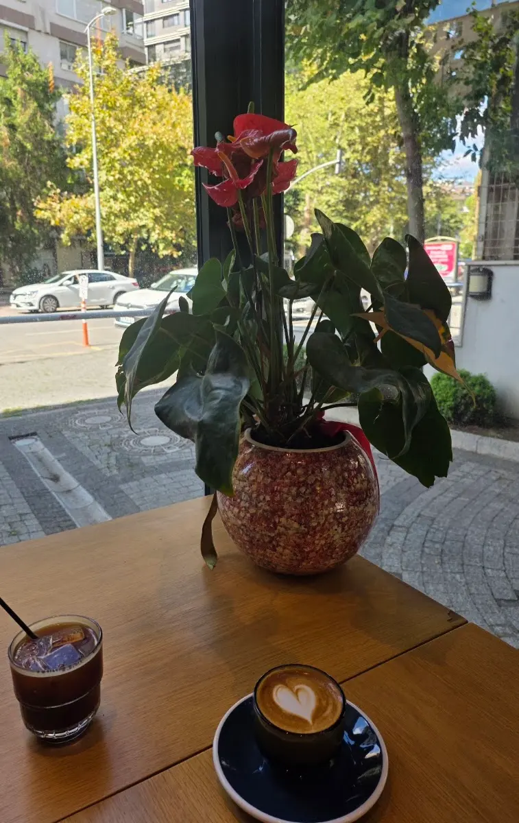 William’s Roastery photo 5